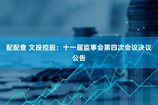 配配查 文投控股：十一届监事会第四次会议决议公告