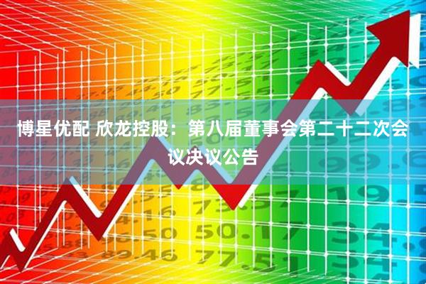 博星优配 欣龙控股：第八届董事会第二十二次会议决议公告