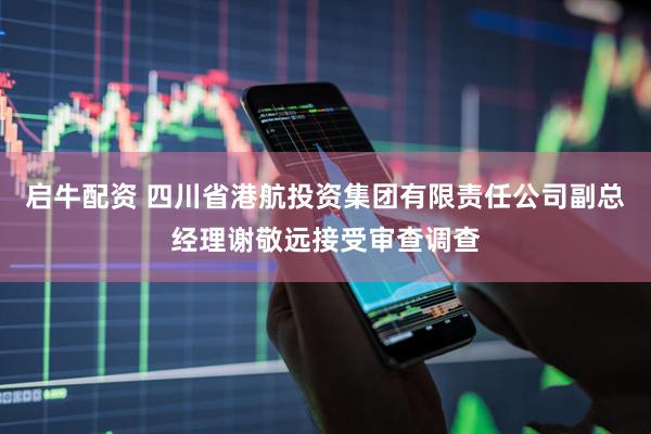 启牛配资 四川省港航投资集团有限责任公司副总经理谢敬远接受审查调查