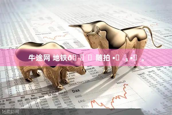 牛途网 地铁🚇随拍 •͈ ₃ •͈。