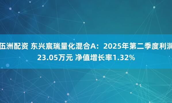 伍洲配资 东兴宸瑞量化混合A：2025年第二季度利润23.05万元 净值增长率1.32%