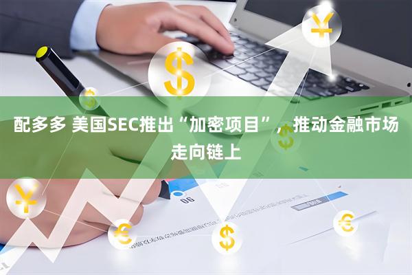 配多多 美国SEC推出“加密项目”，推动金融市场走向链上