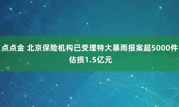 点点金 北京保险机构已受理特大暴雨报案超5000件 估损1.5亿元