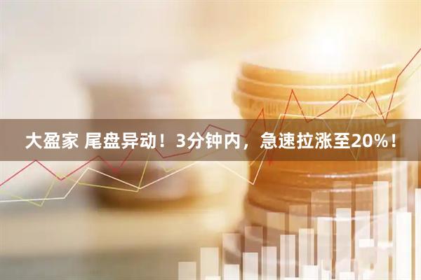 大盈家 尾盘异动！3分钟内，急速拉涨至20%！