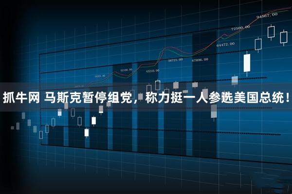 抓牛网 马斯克暂停组党，称力挺一人参选美国总统！